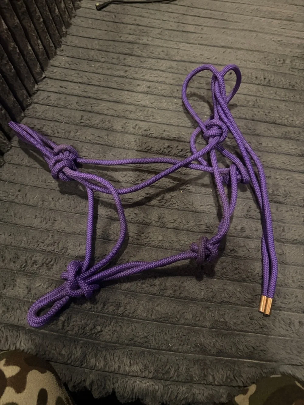 Purple Rope Halter with Copper Tips - Picture 1 of 1